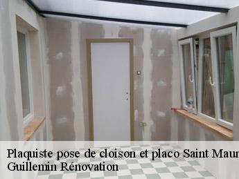 Plaquiste pose de cloison et placo  saint-maurice-sur-fessard-45700 Guillemin Rénovation 